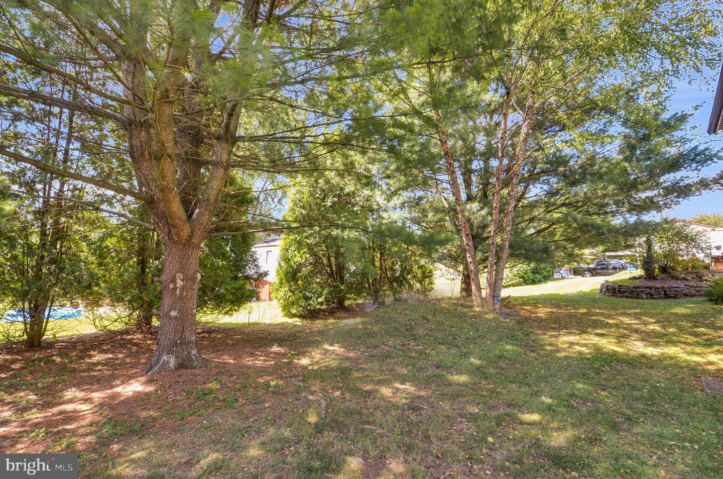 310 Carolina Avenue photo 6