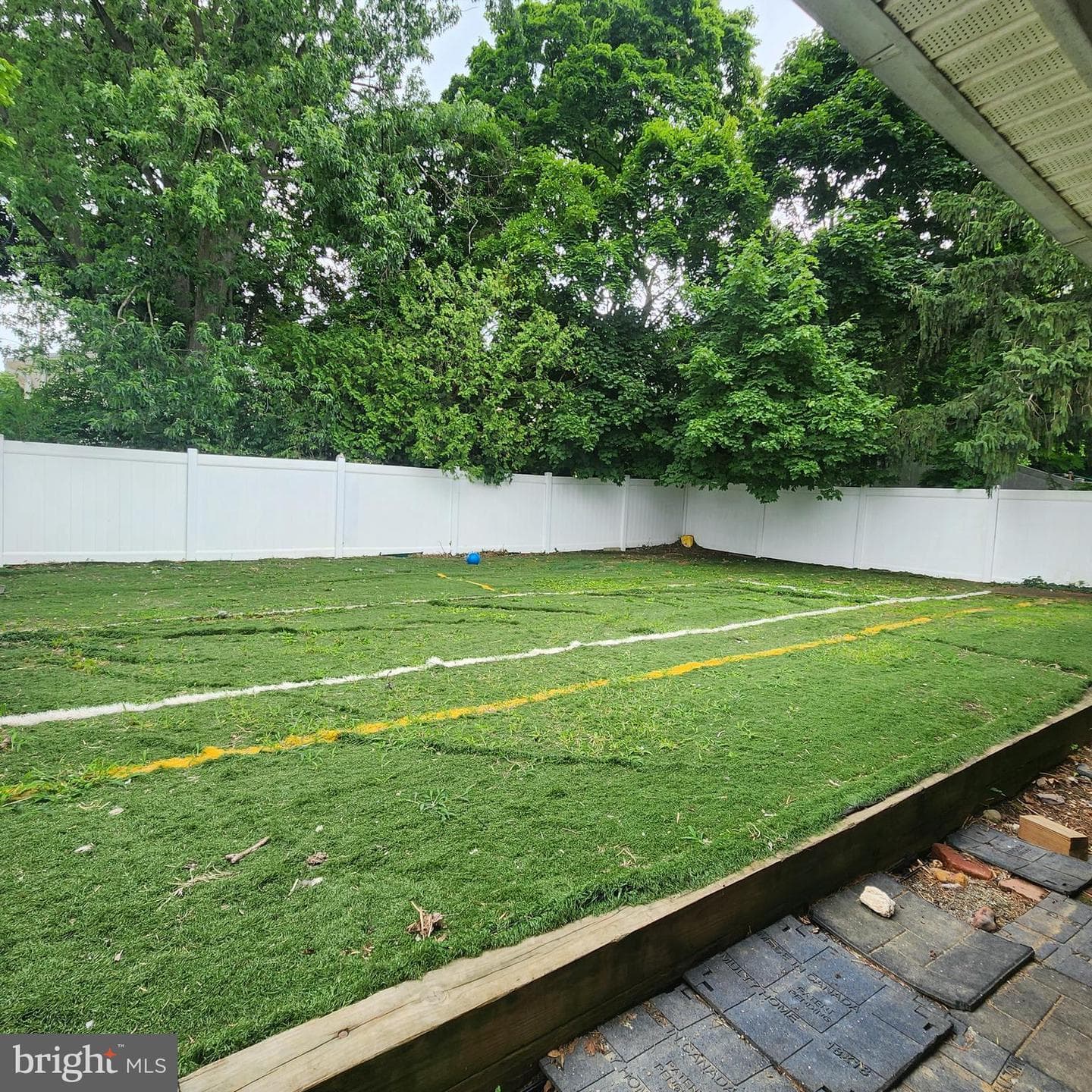 3231 Earl Street photo 4