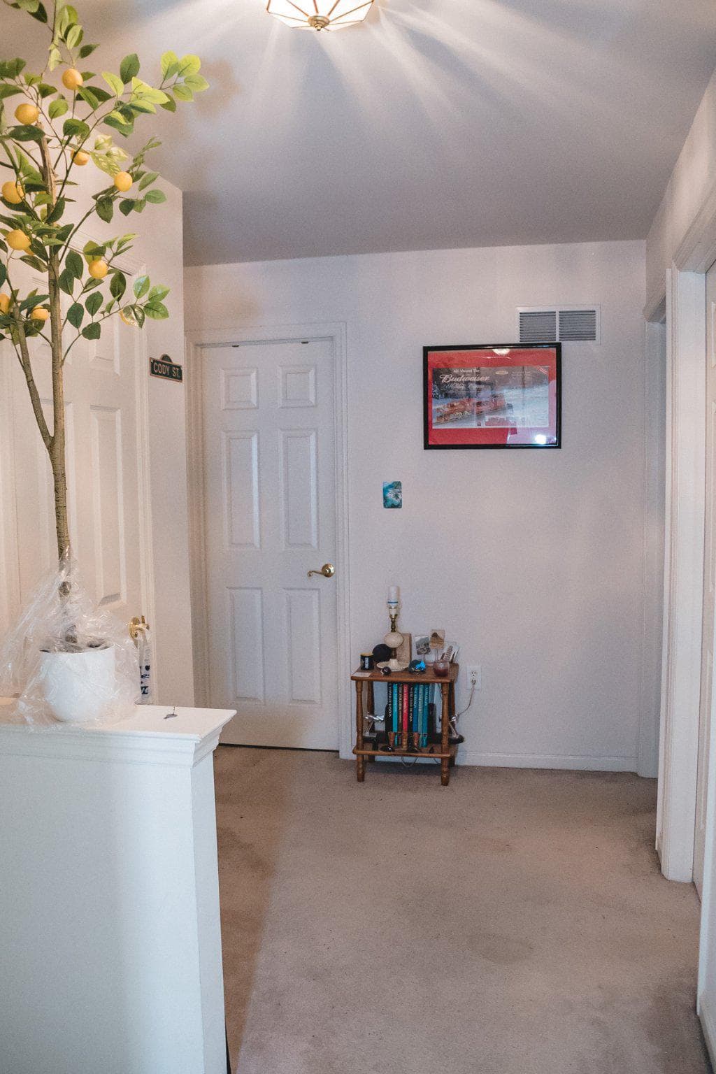 411 Wingspread Court photo 35