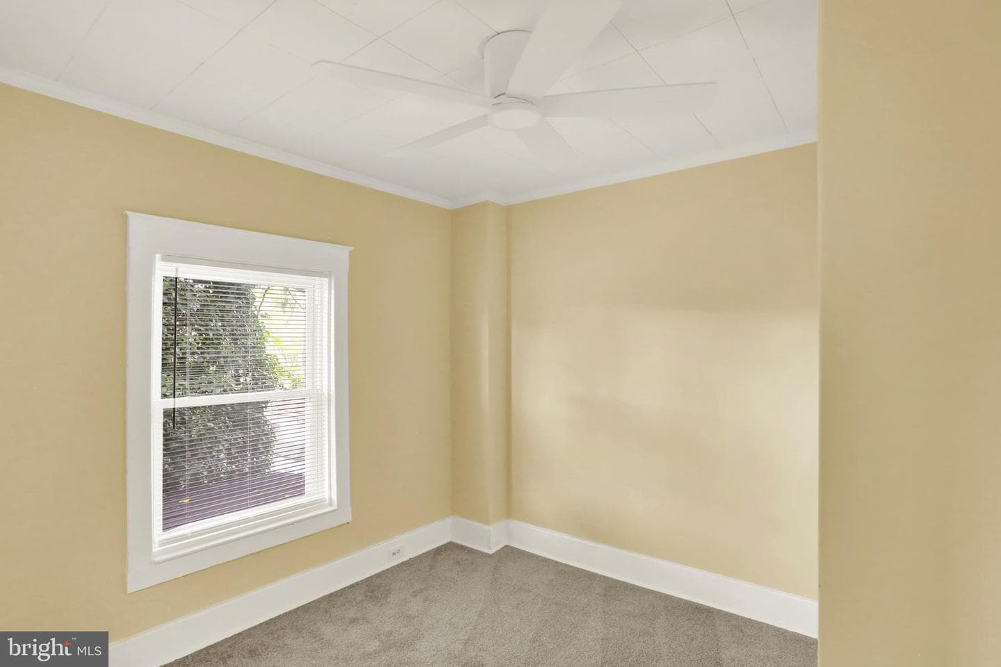 261 Friedensburg Road photo 21
