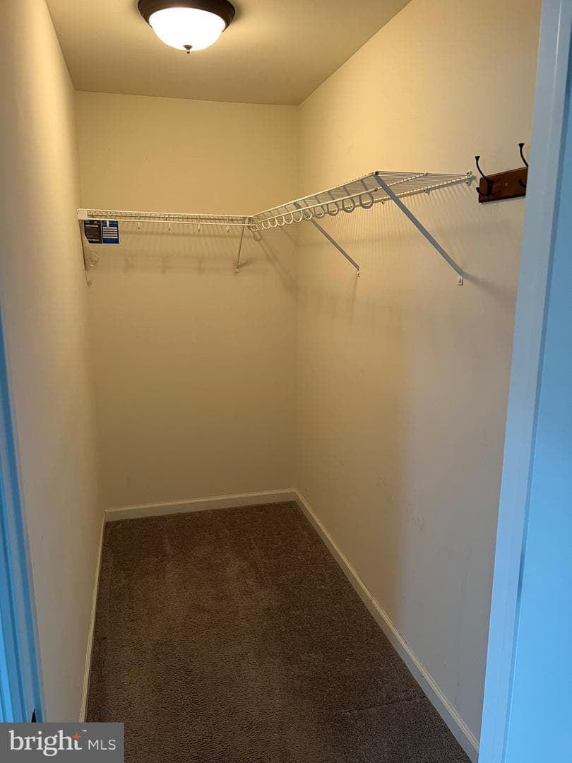 2 Egret Court photo 39