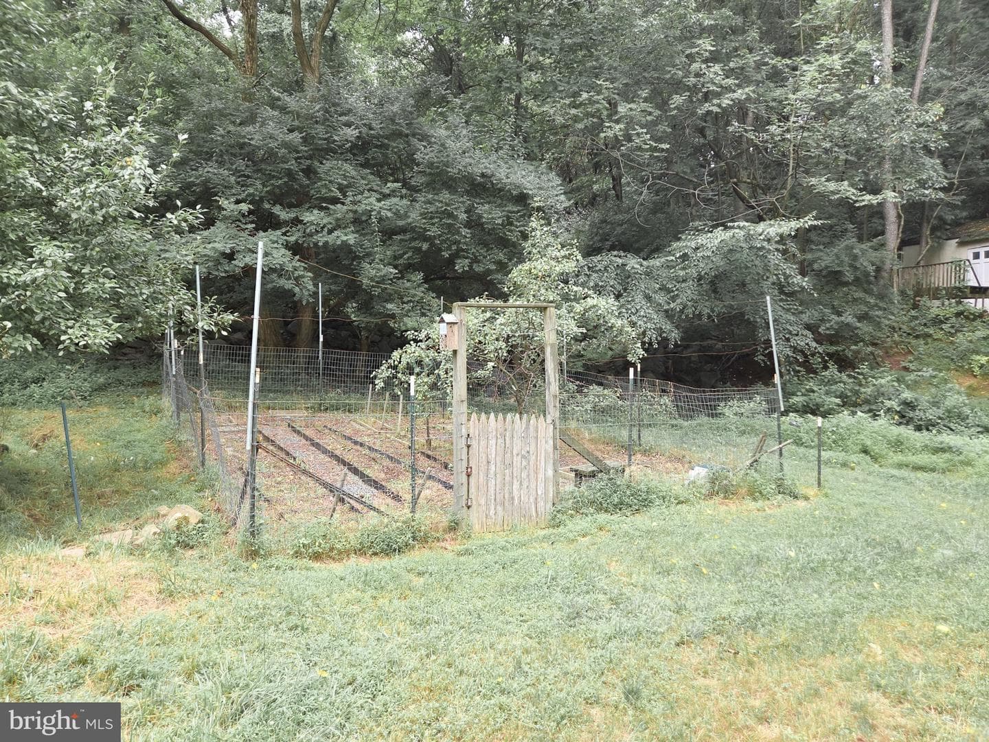 808 Sycamore Road photo 50