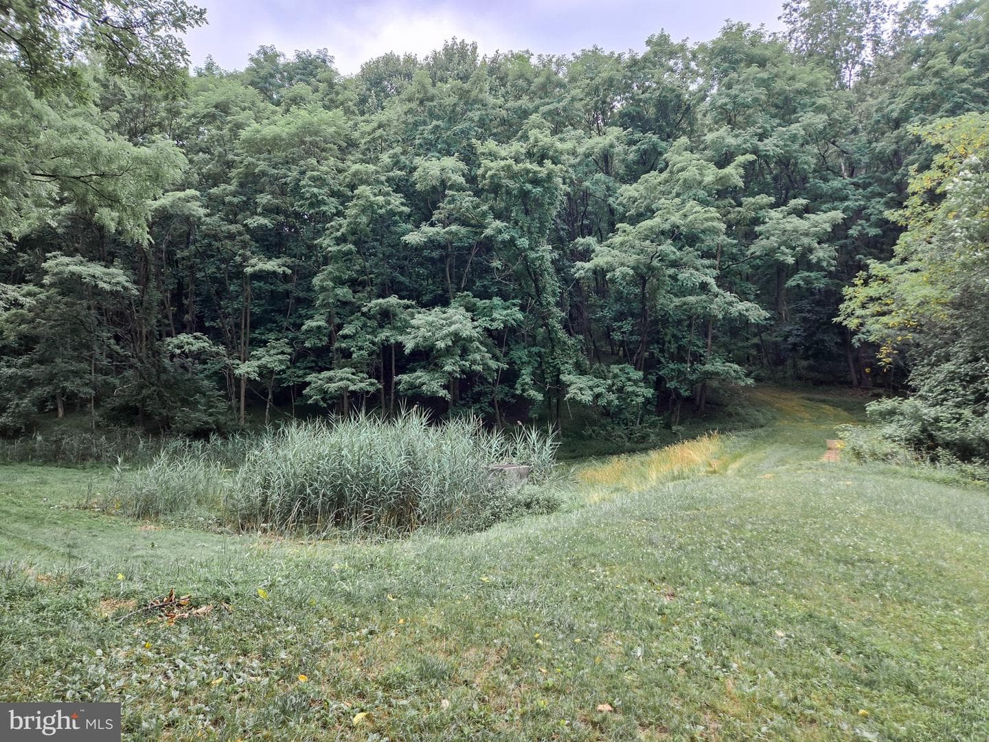 808 Sycamore Road photo 57