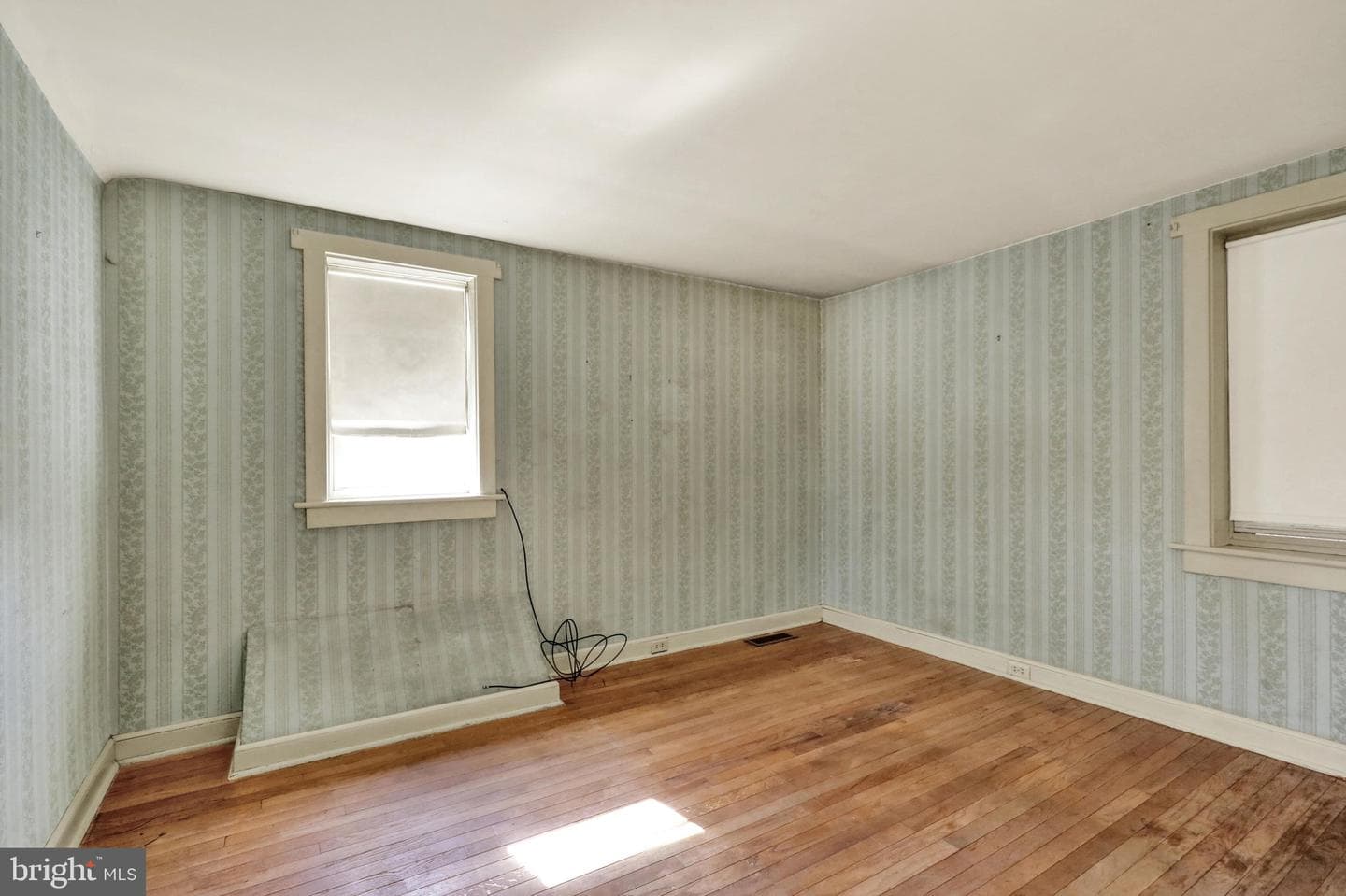 24 Ardmore Avenue photo 24