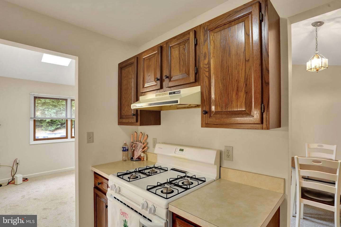10 Maplewood Avenue #3b photo 12