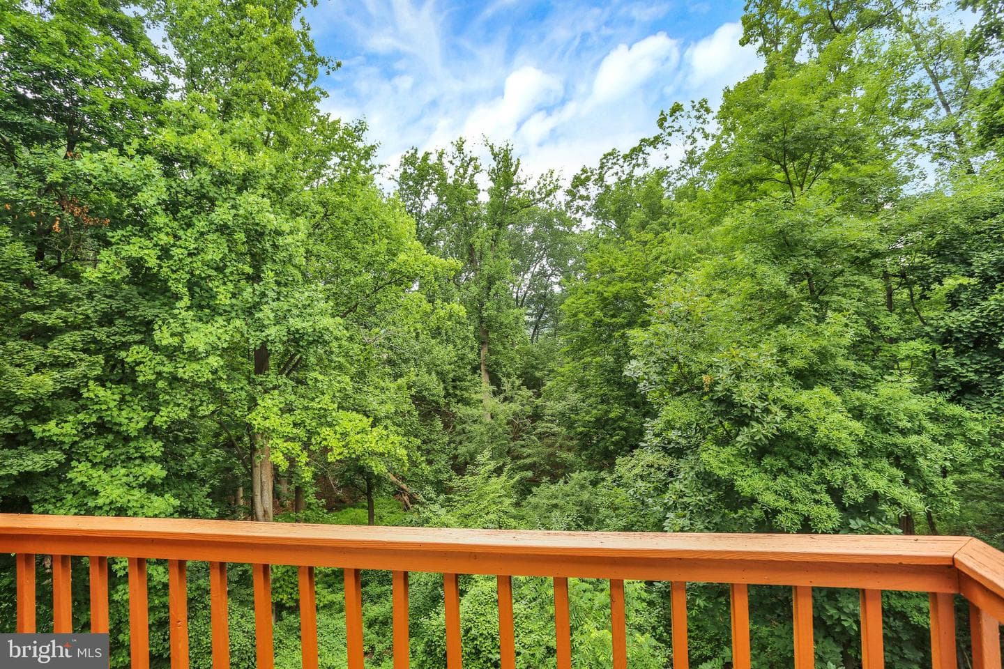 10 Maplewood Avenue #3b photo 20