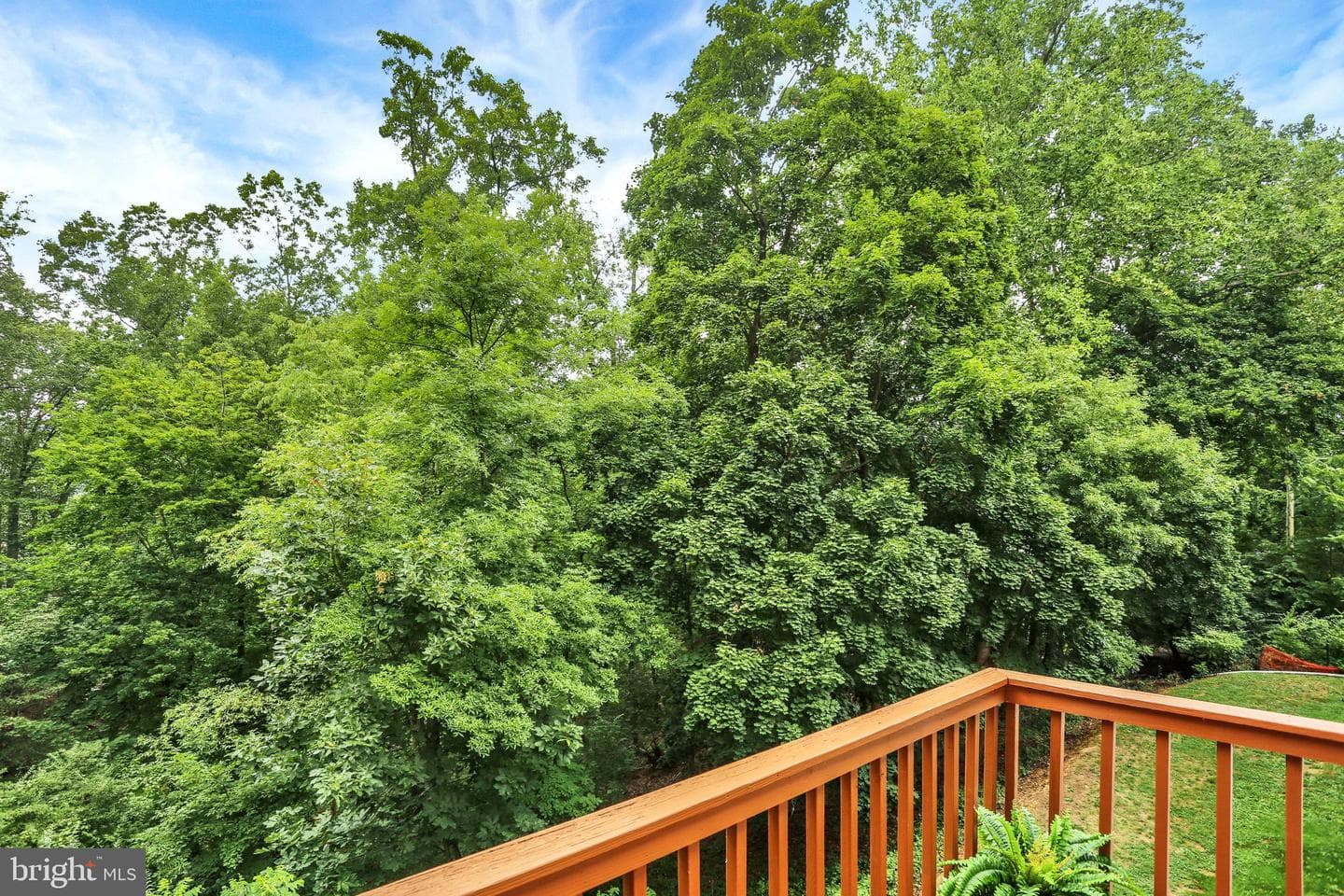 10 Maplewood Avenue #3b photo 21
