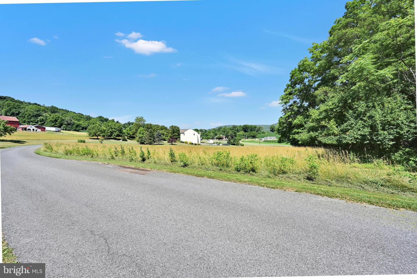 21 Spring Meadow Lane photo 59