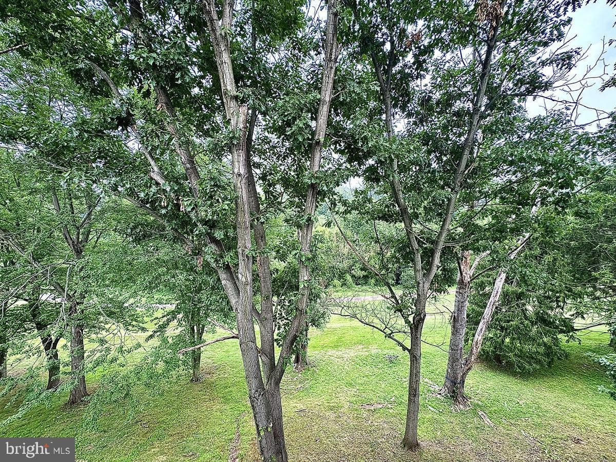 5 Fairway Road photo 10