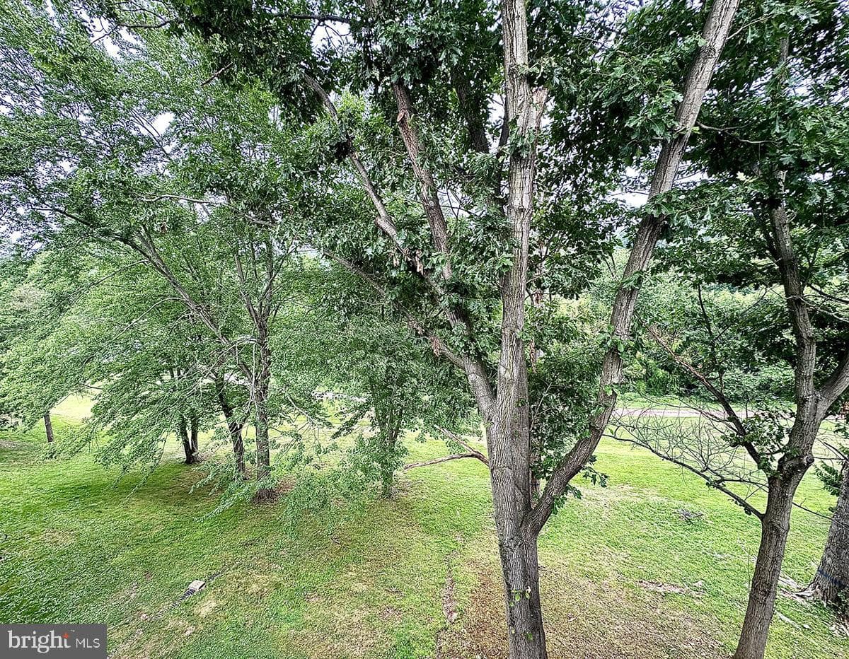 5 Fairway Road photo 11