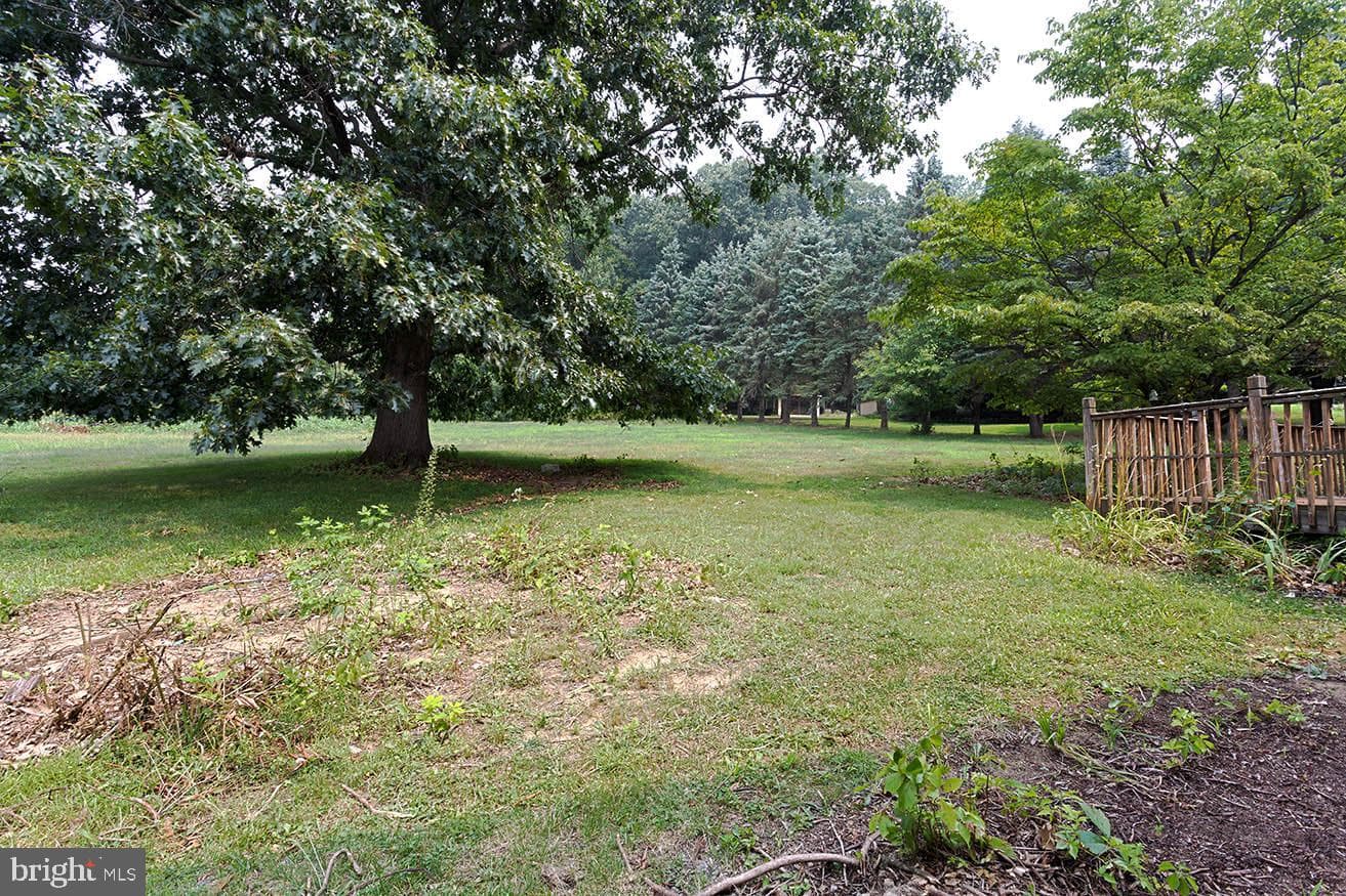 406 Miller Road photo 29