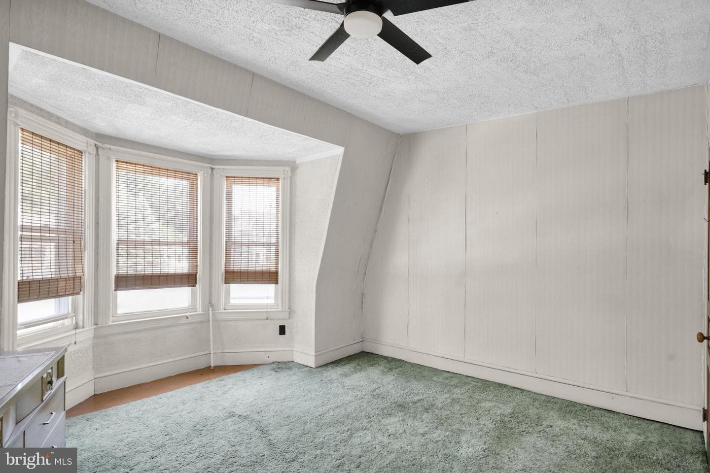 186 Clymer Street photo 24