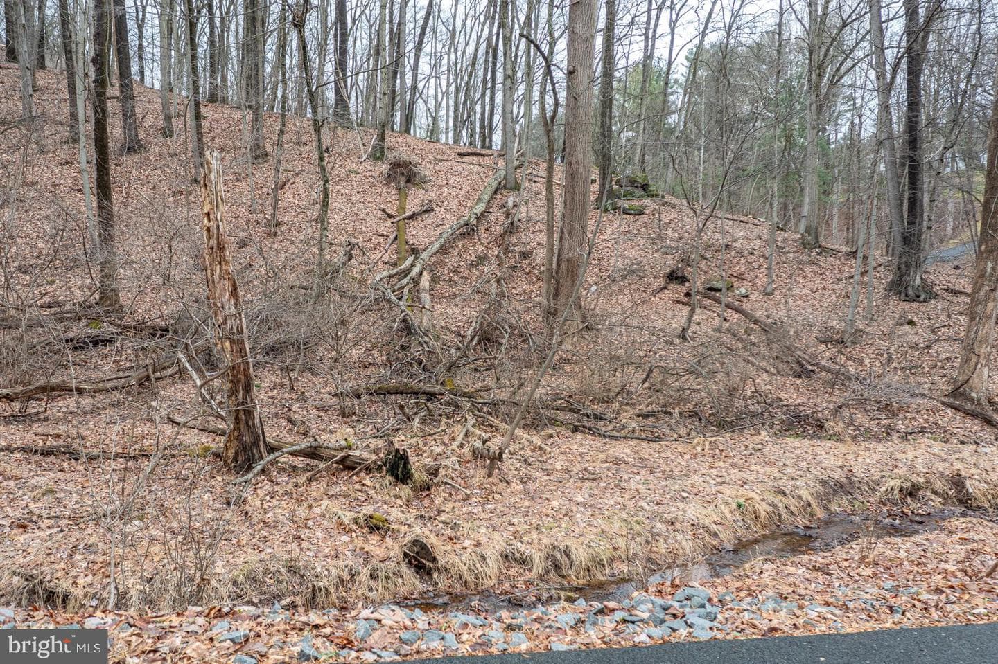 10 Hidden Pond Drive photo 10