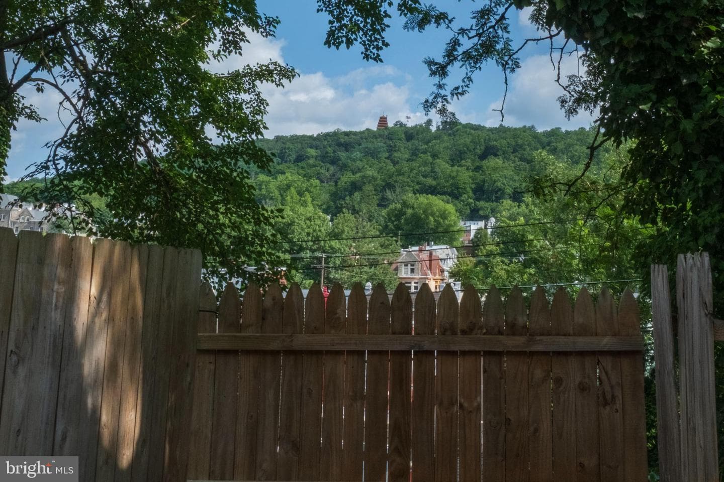 1643 Cotton Street photo 11