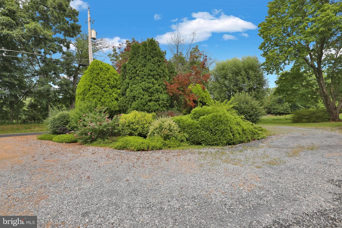 246 Sandhill Road photo 12
