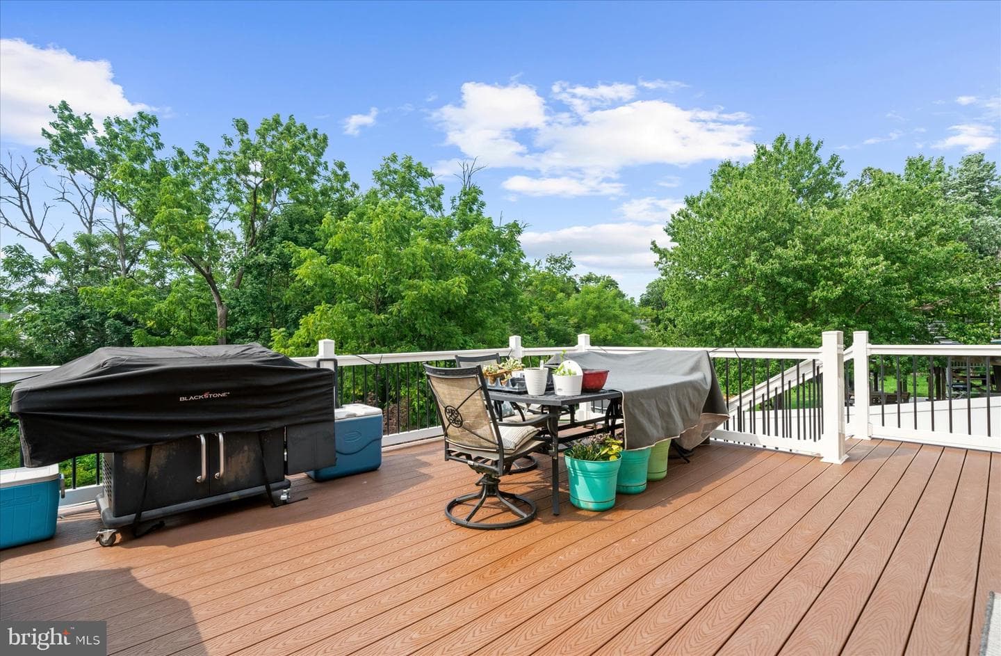 207 Balsam Drive photo 44