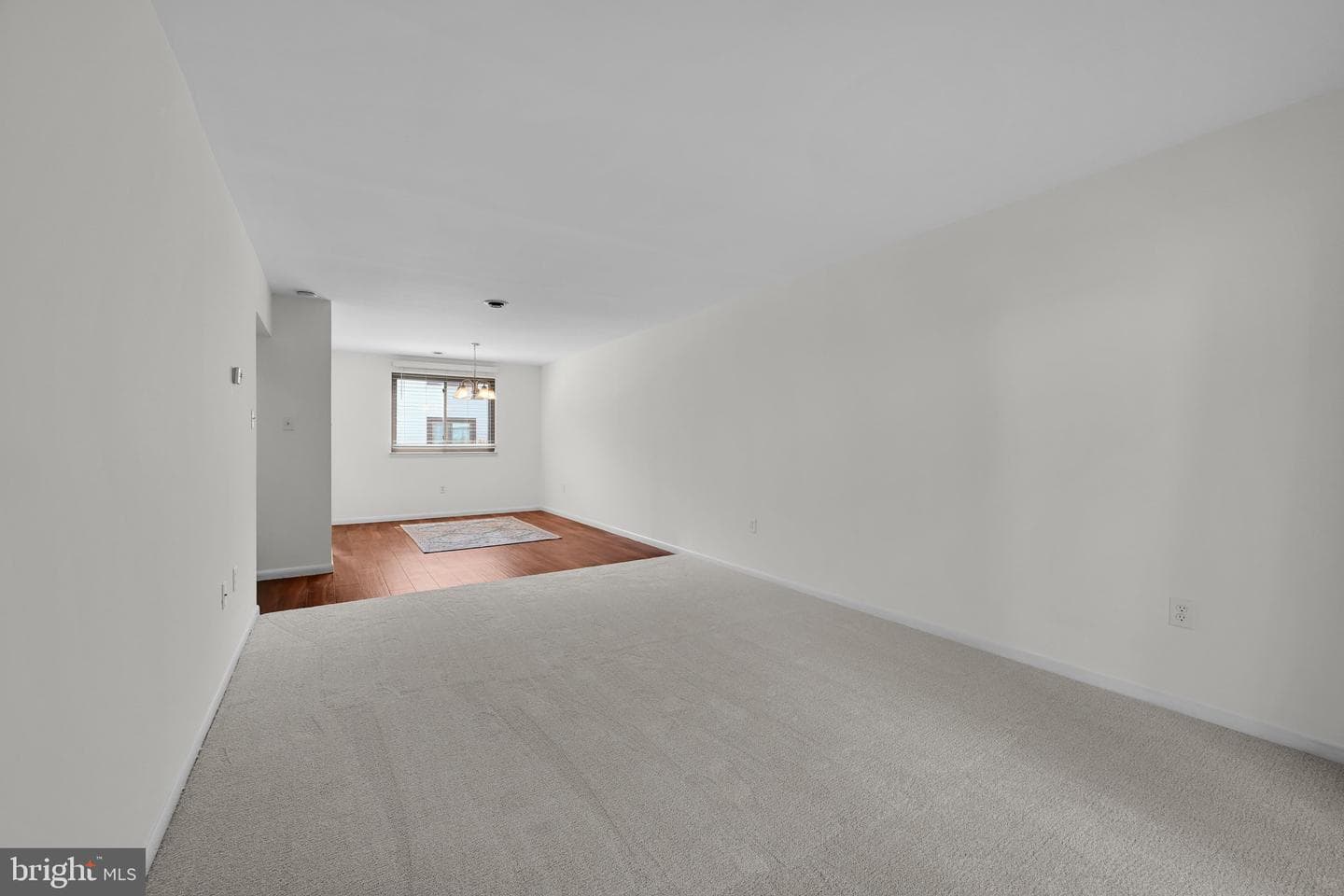 46 Holly Drive photo 7