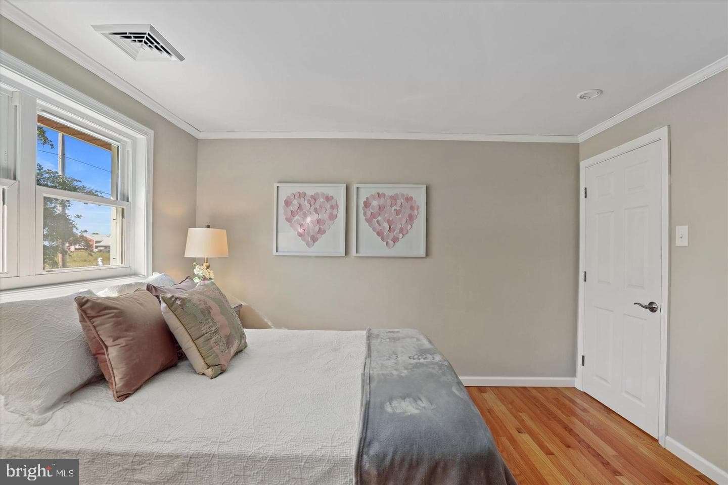 291 Elephant Road photo 33