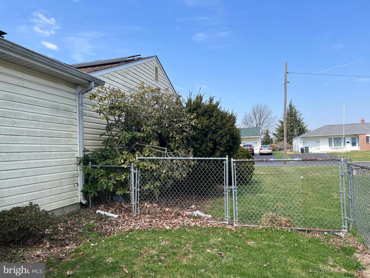 1327 Lacebark Street photo 22