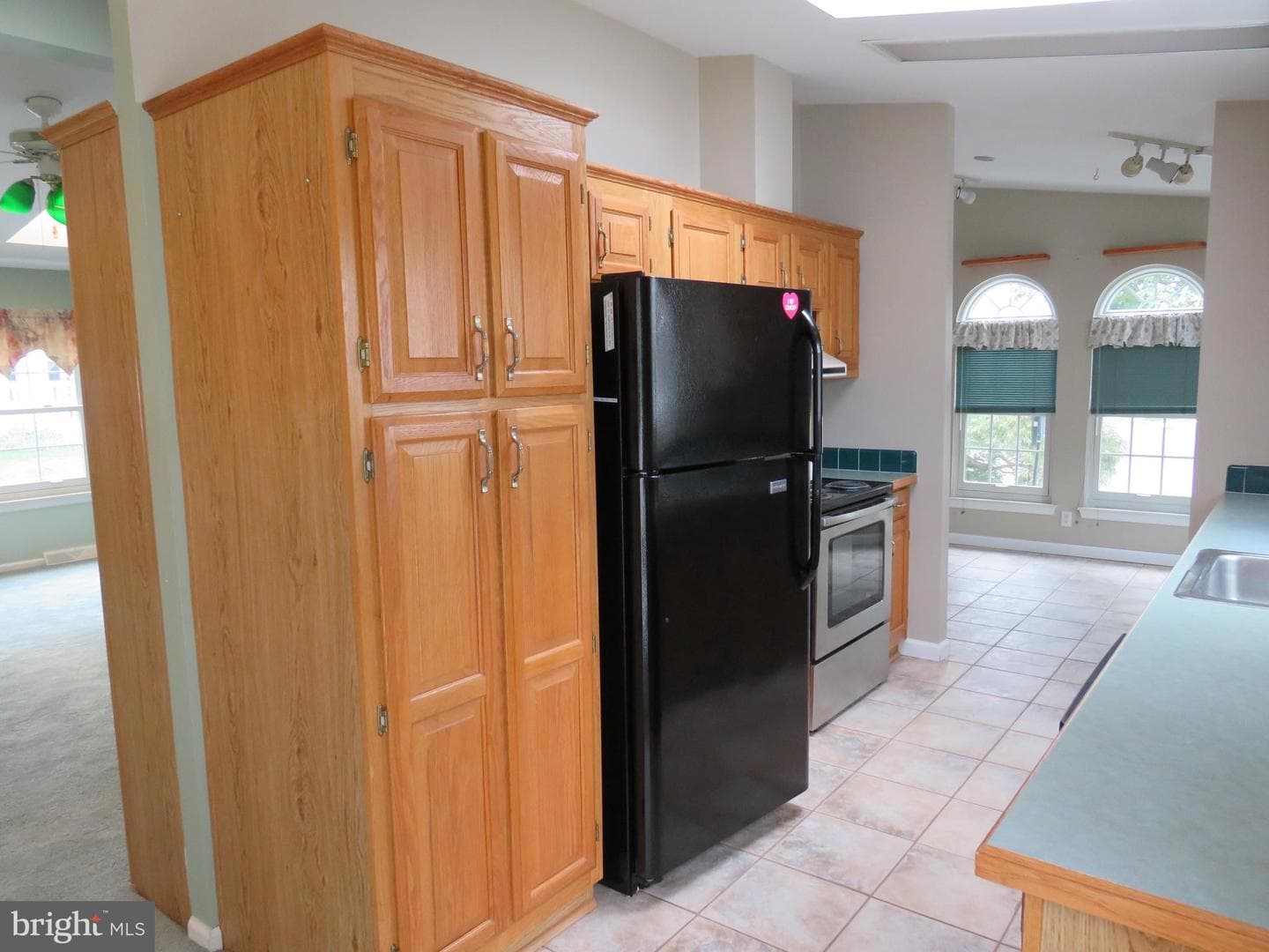 377 Spring Meadow Circle photo 17