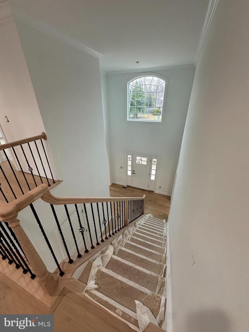 43 Davisville Road photo 12