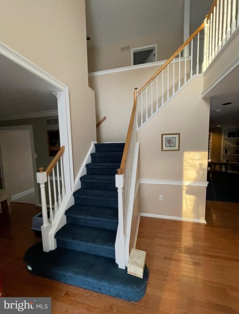 546 Clydesdale Drive photo 30
