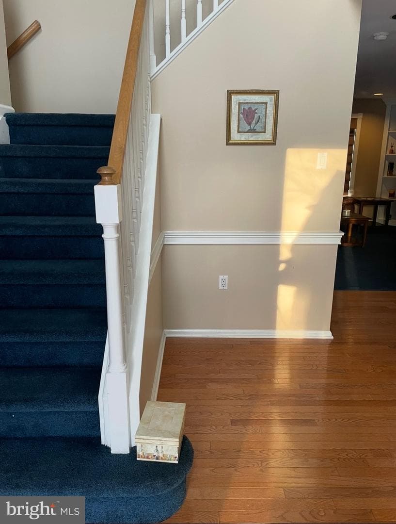 546 Clydesdale Drive photo 31