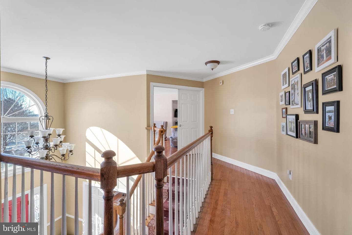 4 Dorchester Lane photo 13