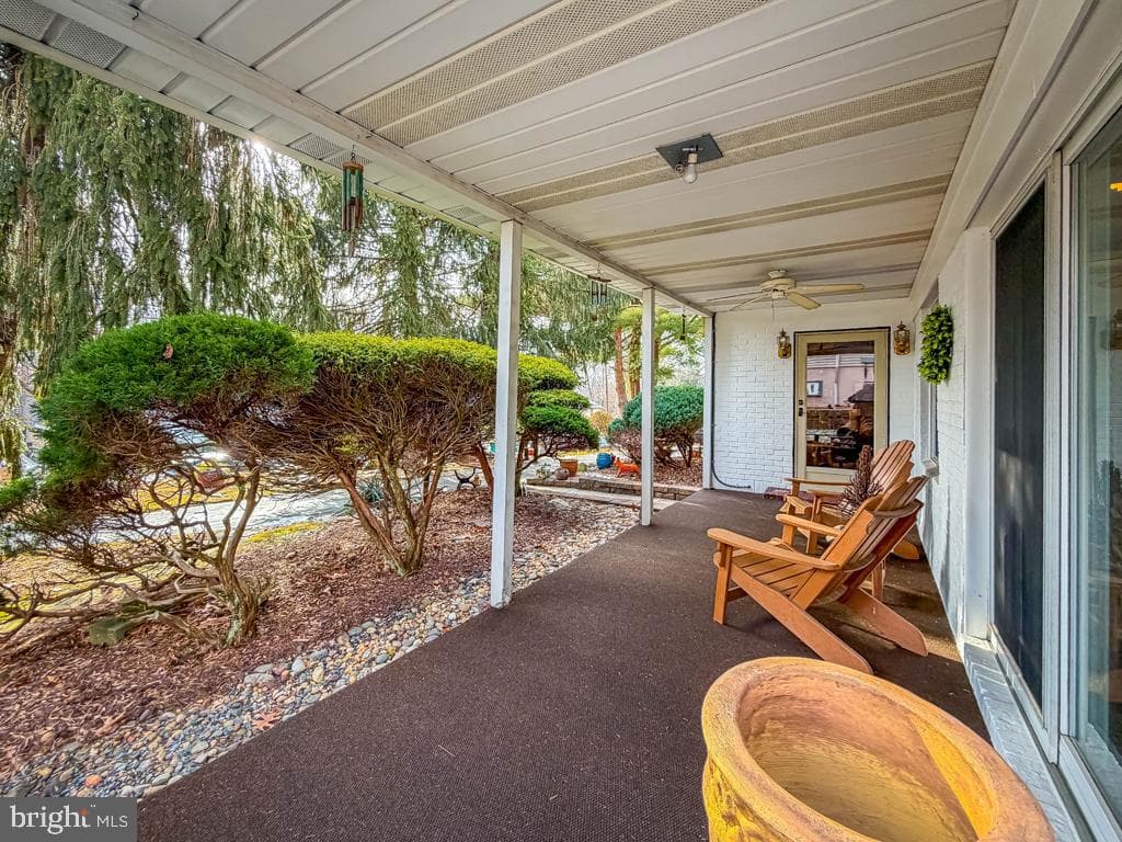 3676 Spruce Avenue photo 3