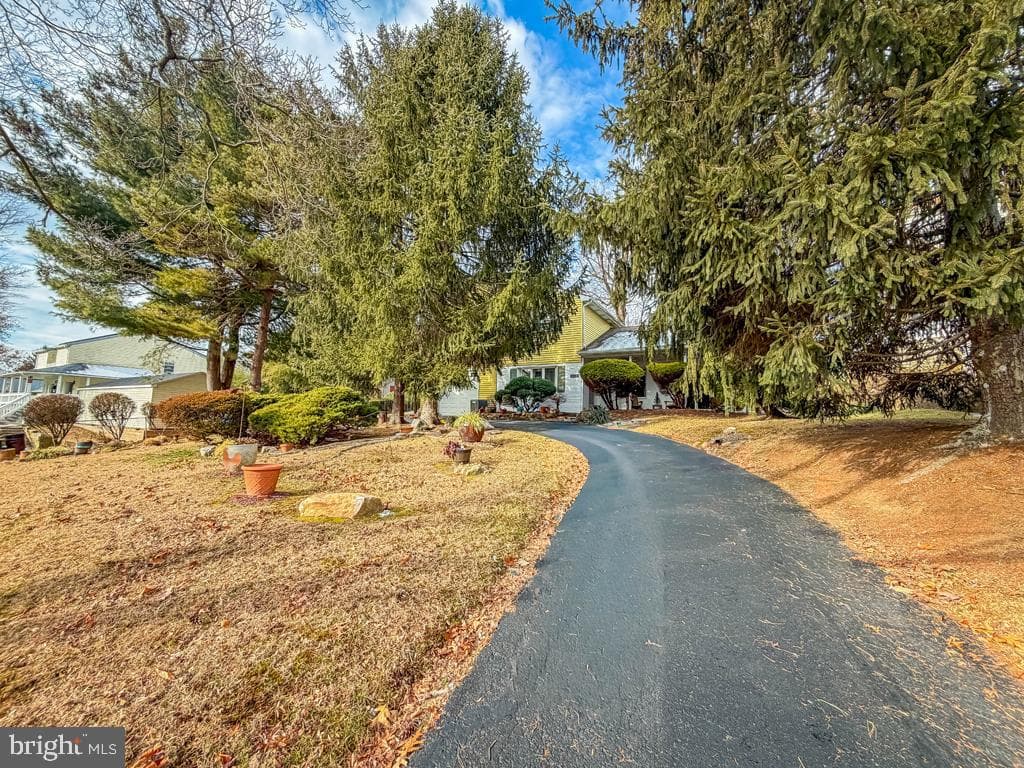 3676 Spruce Avenue photo 31