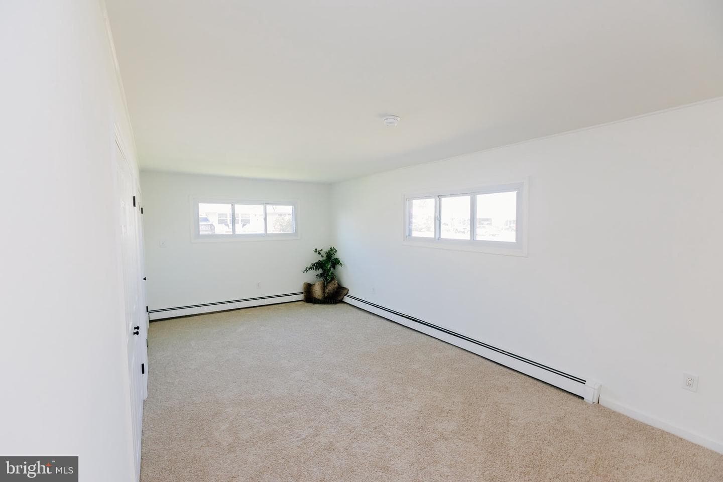 21 Velvet Lane photo 23