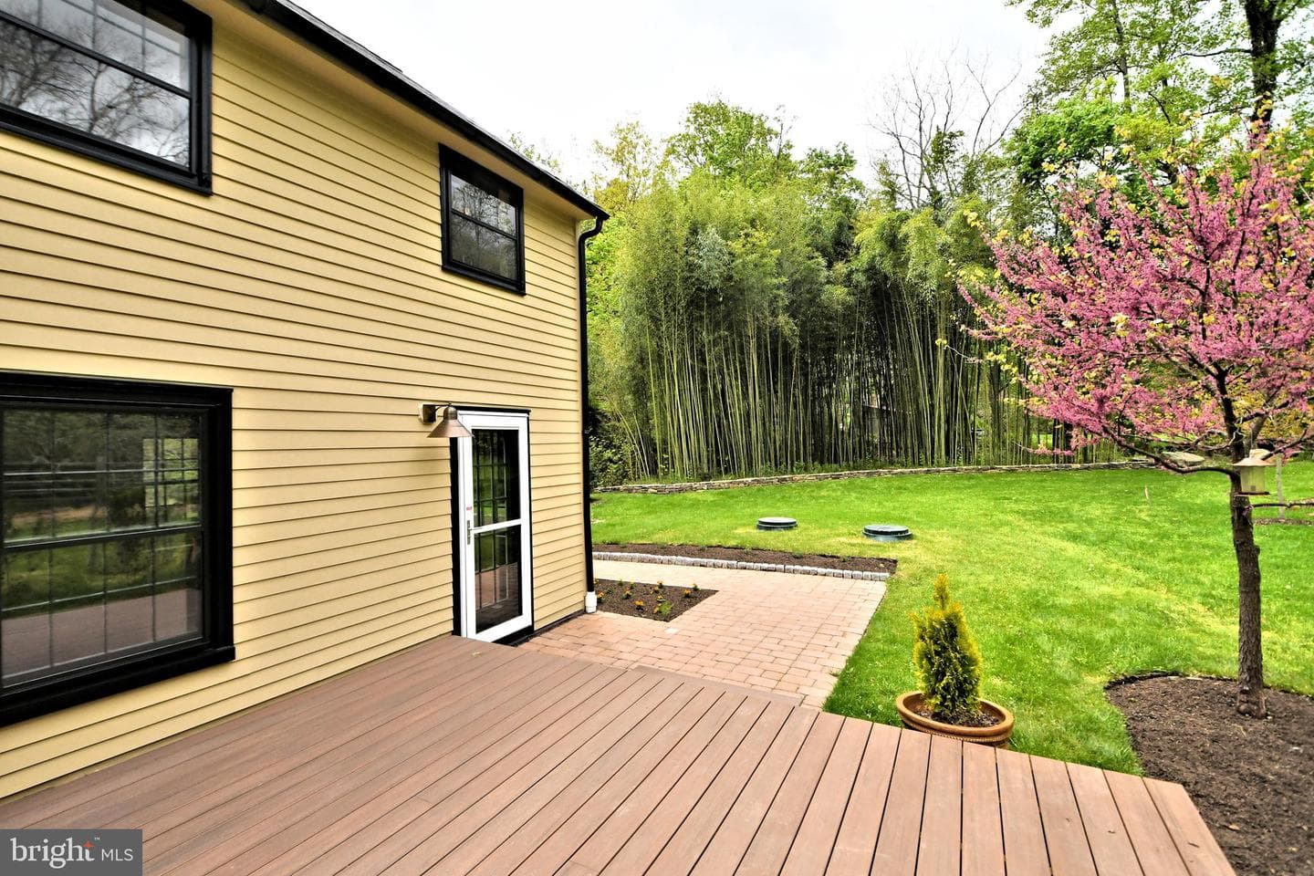 6163 Carversville Road photo 16