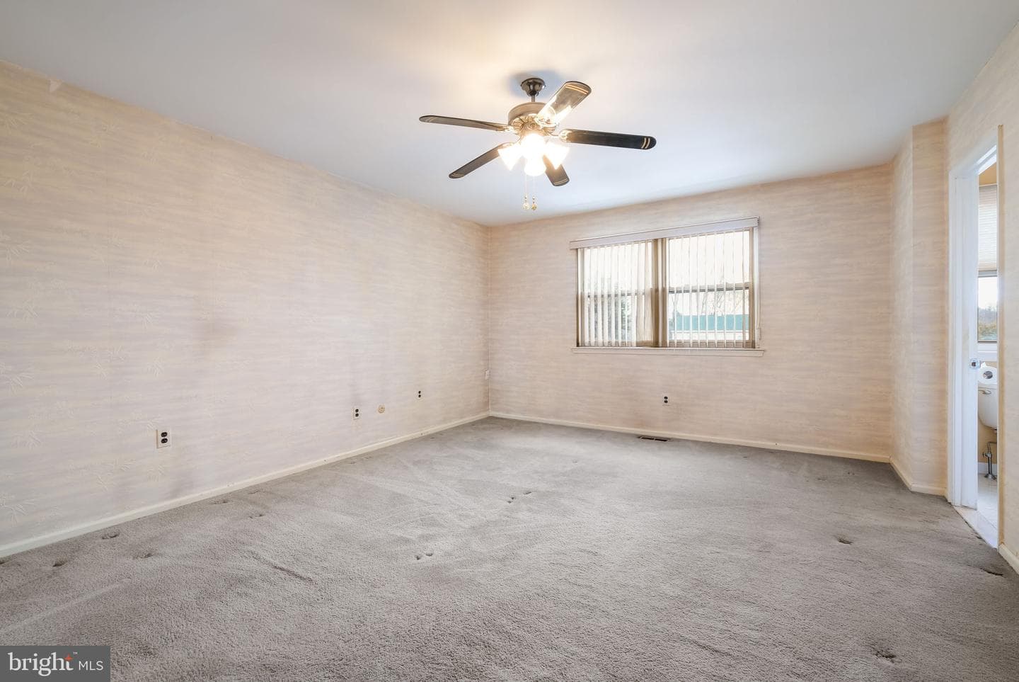64 Springwood Drive photo 26