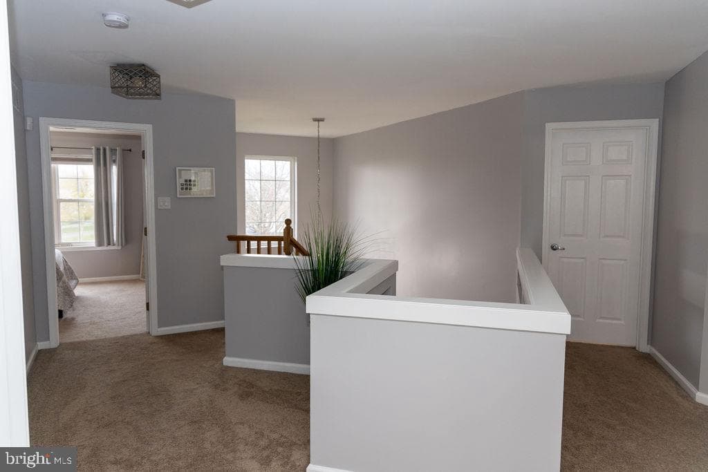 814 Sydni Court photo 66