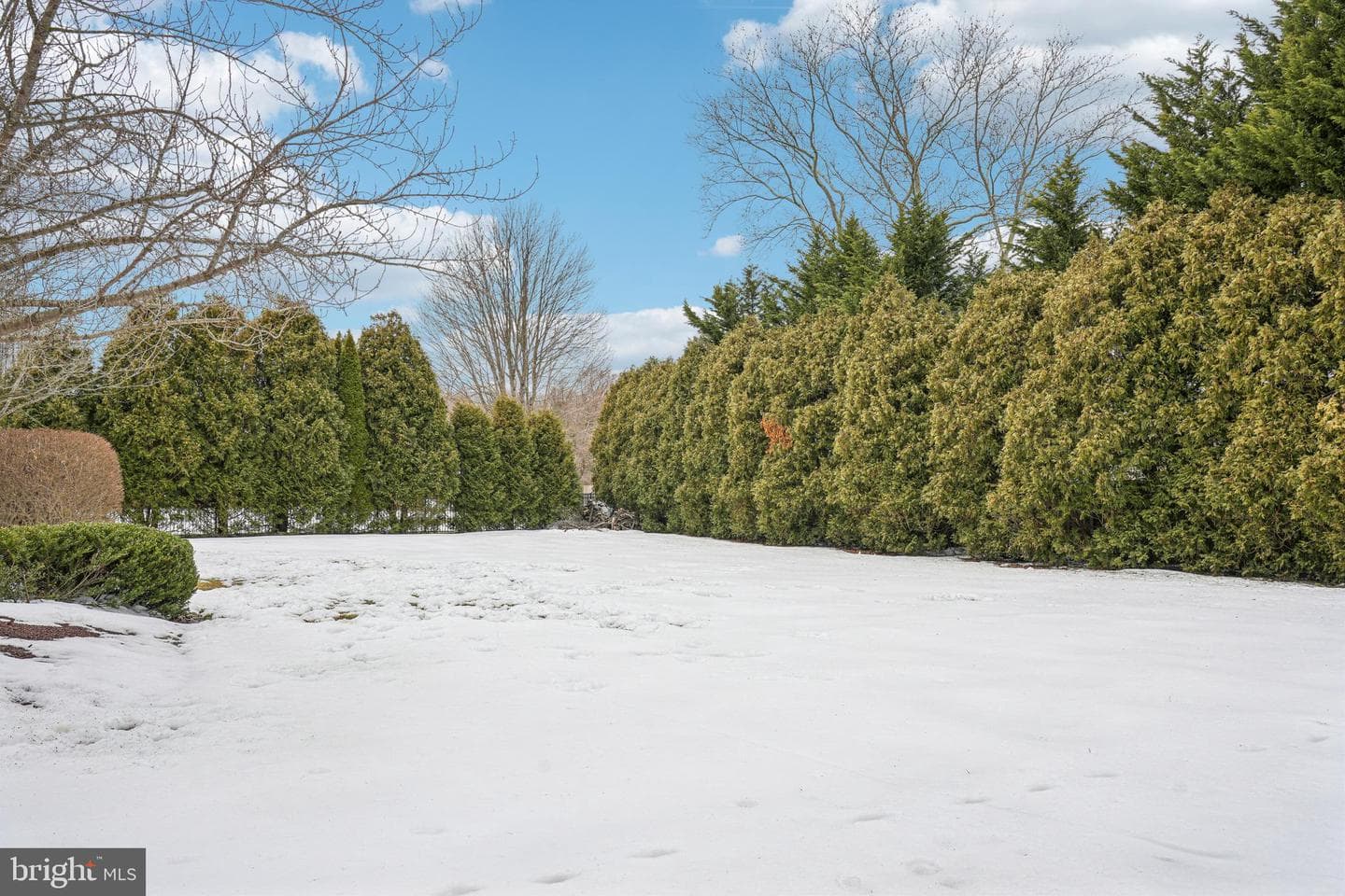 14 Providence Drive photo 65