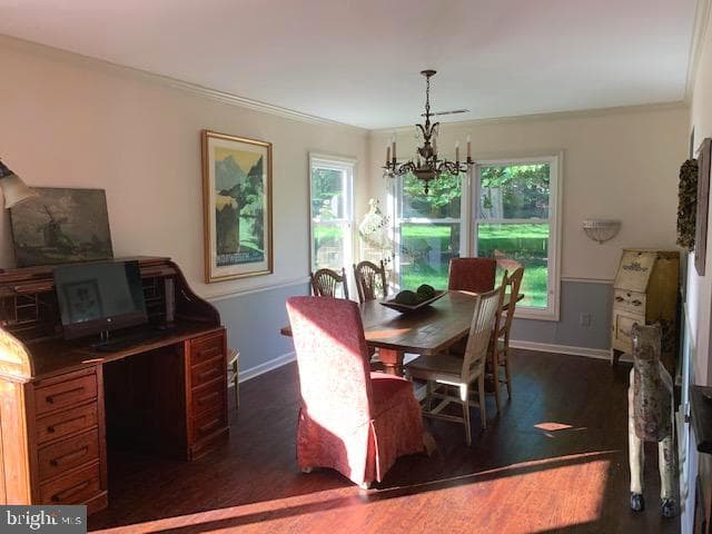 17 Randolph Court photo 11