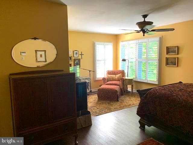 17 Randolph Court photo 14