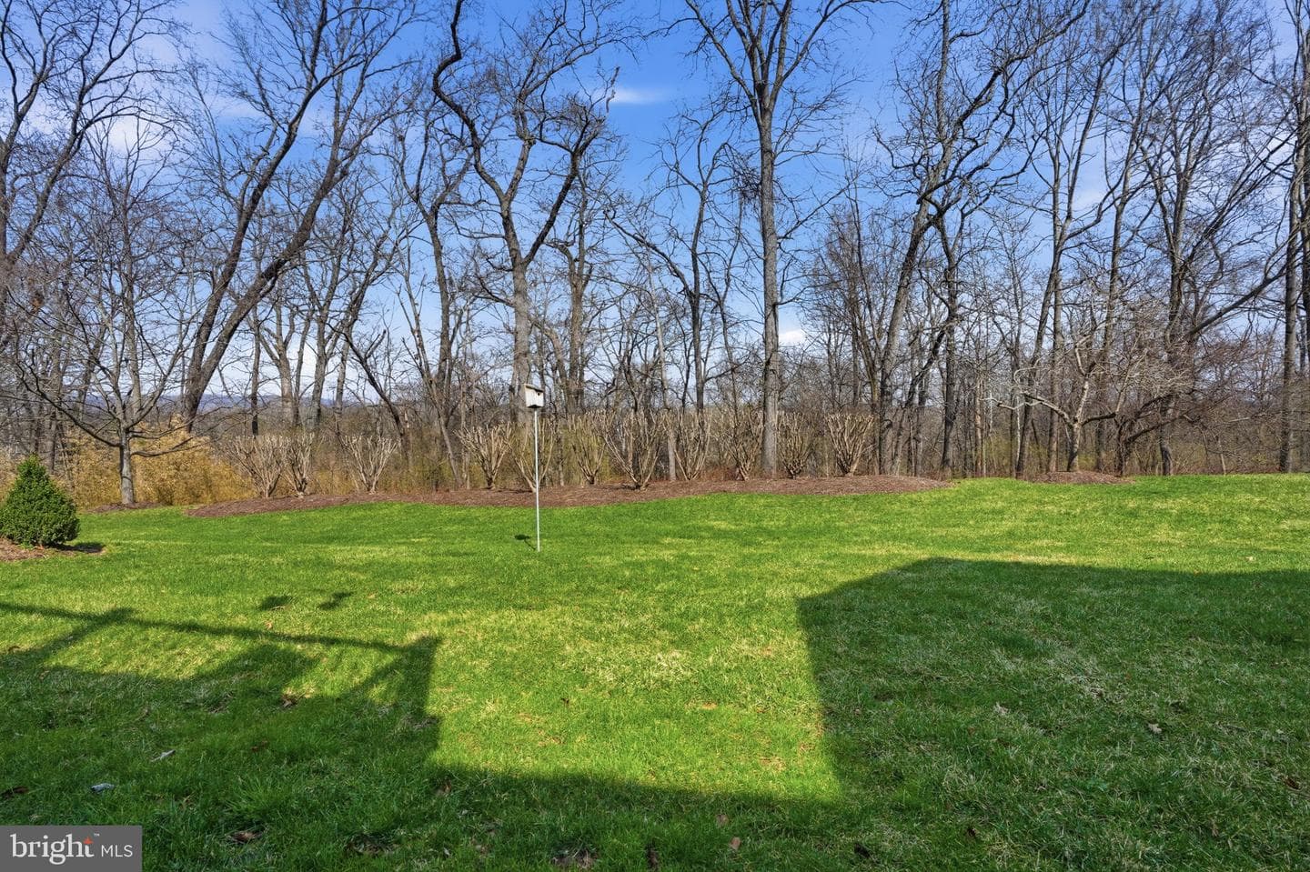 104 Mcconkey Drive photo 37