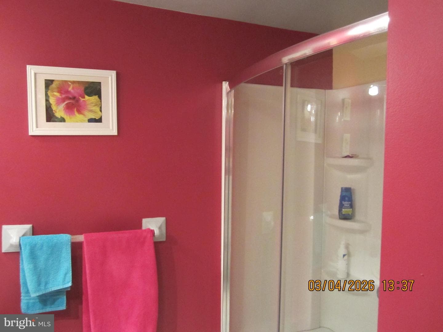 5800 Griscomb Drive photo 34
