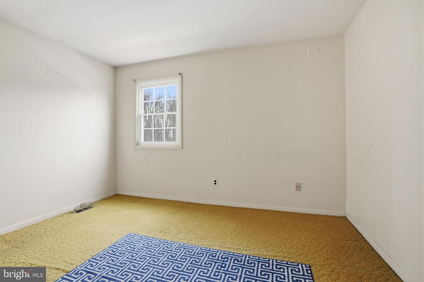 205 High Street photo 23
