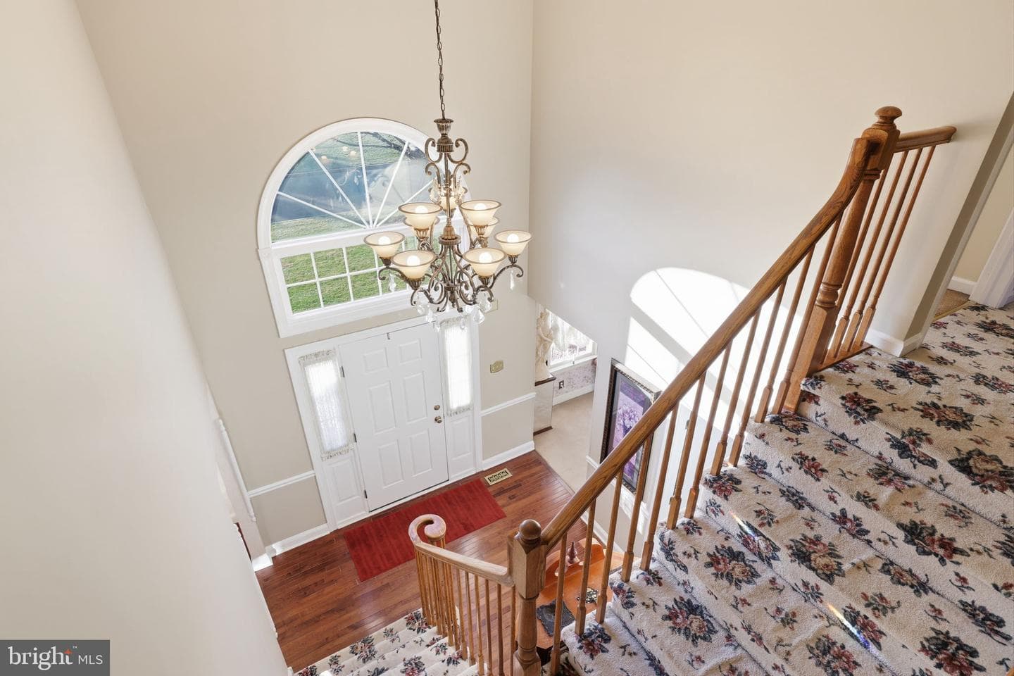 67 Florence Drive photo 22