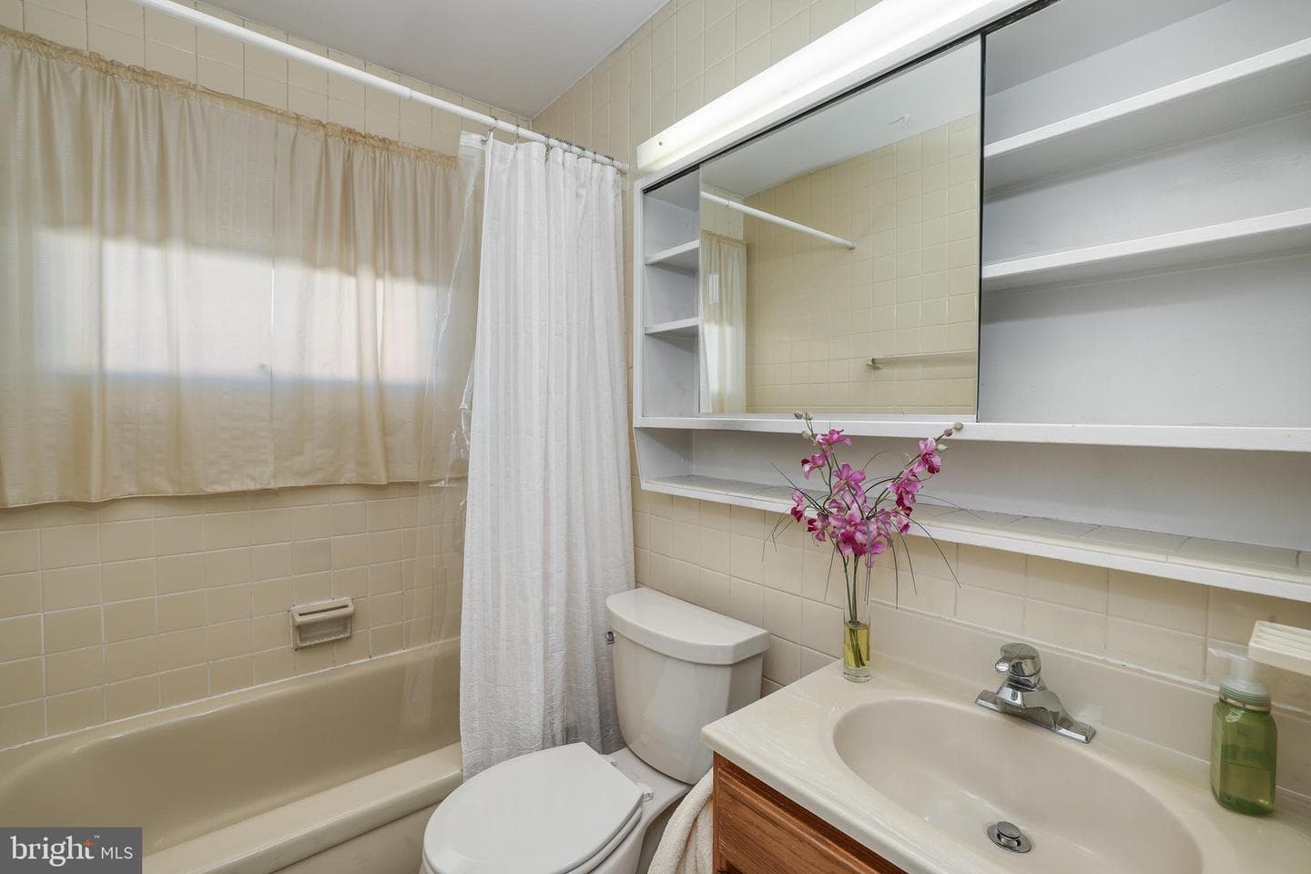 19 Dewberry Lane photo 19