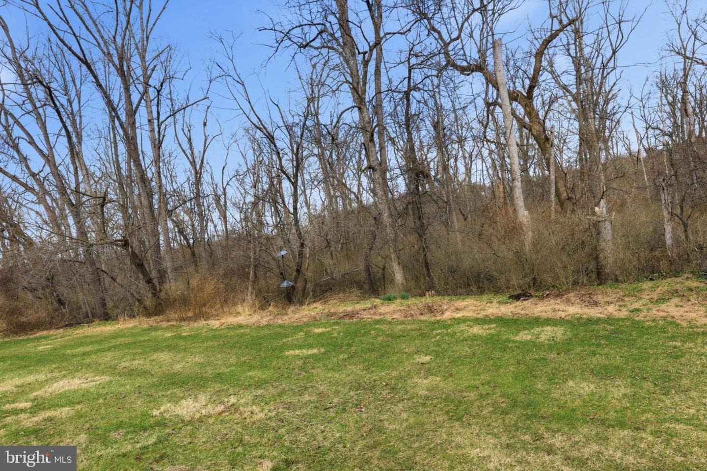 2125 Weybridge Commons photo 10