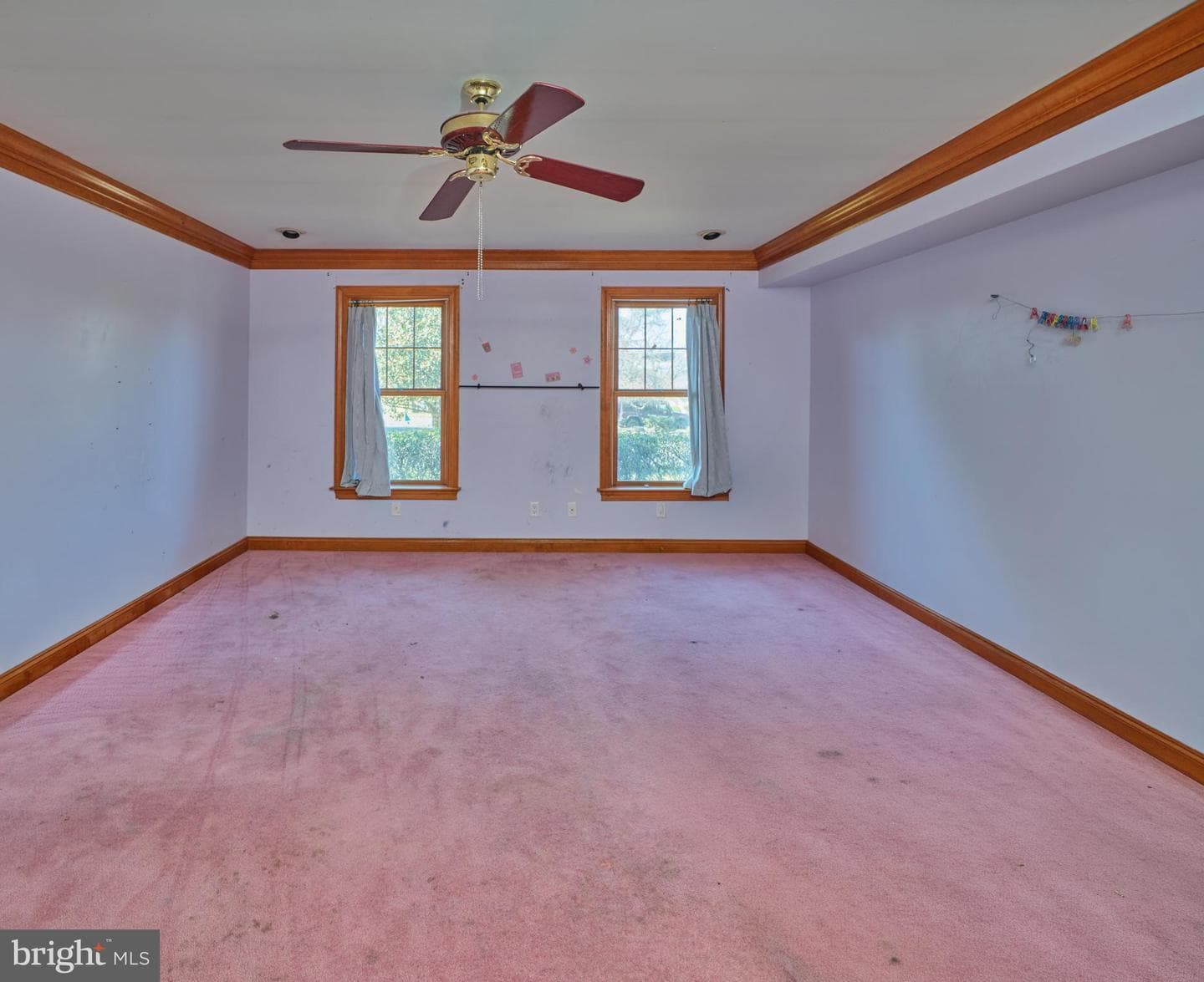 16 Timothy Drive photo 19