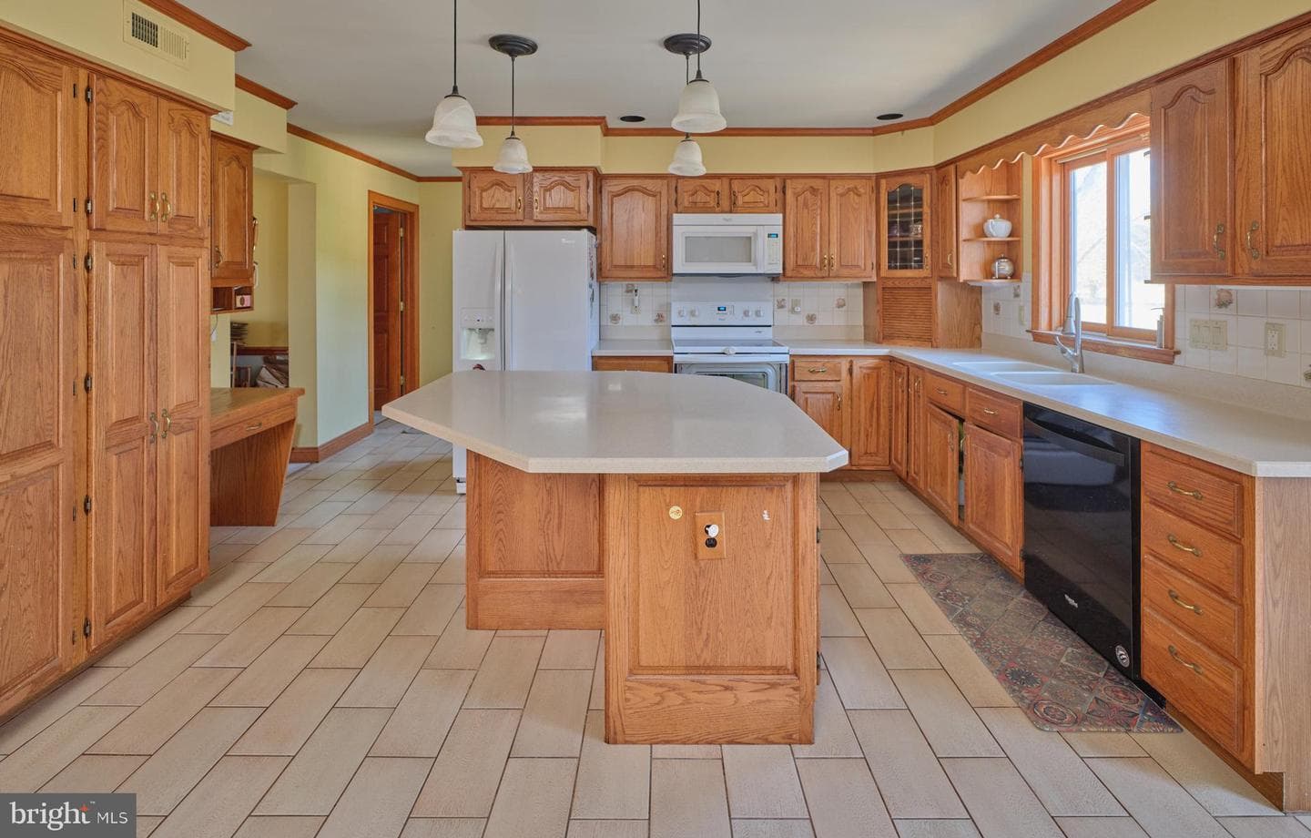 16 Timothy Drive photo 21
