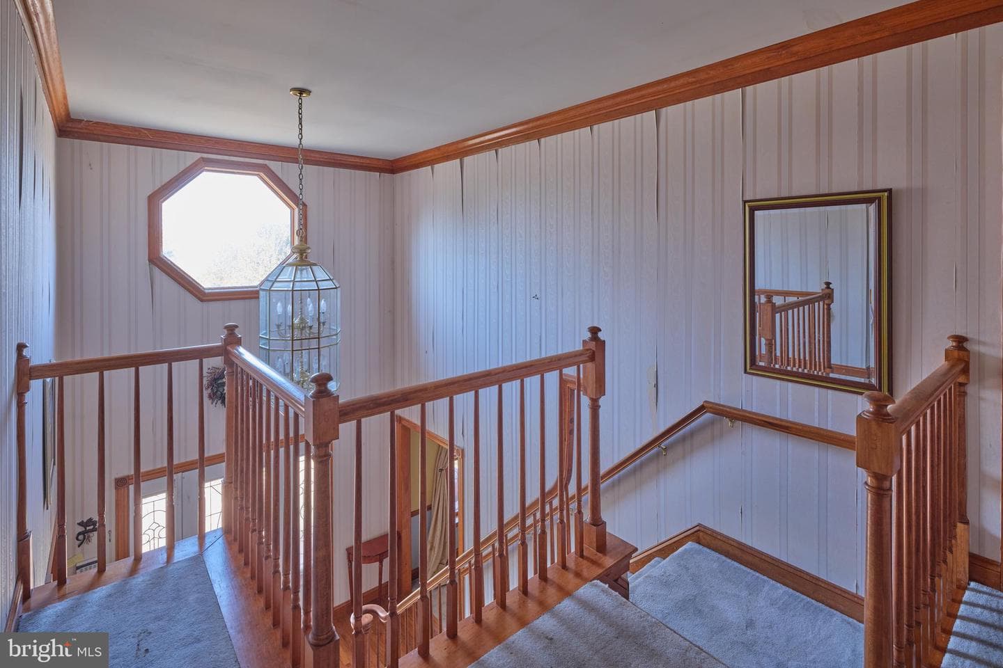 16 Timothy Drive photo 25