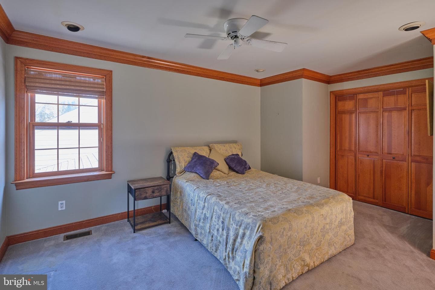 16 Timothy Drive photo 28