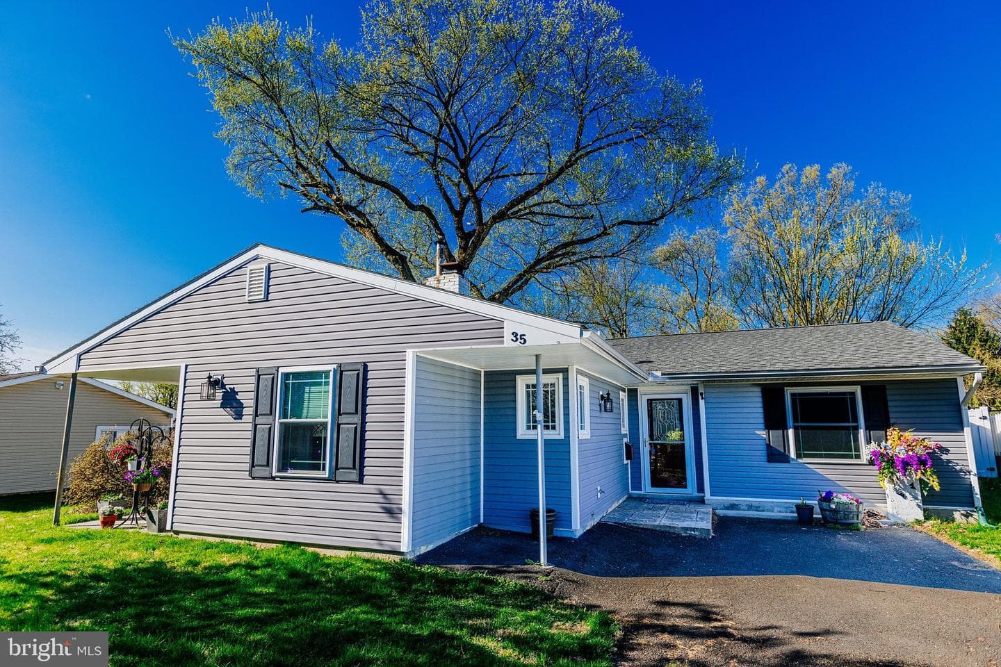 35 Mimosa Lane photo 40