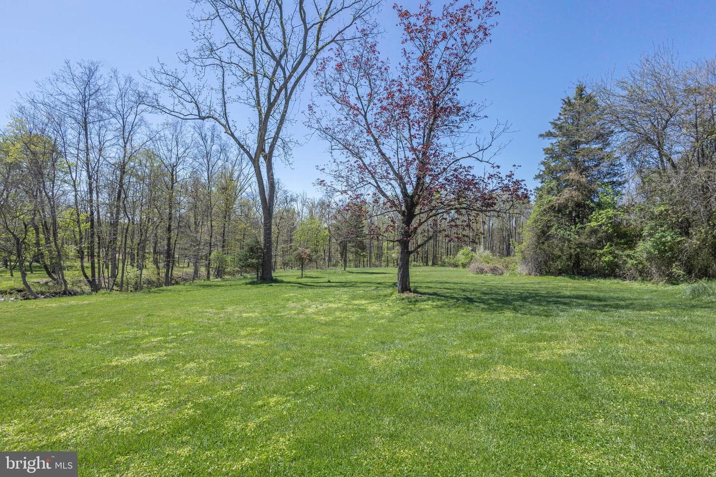1193 Swamp Road photo 64