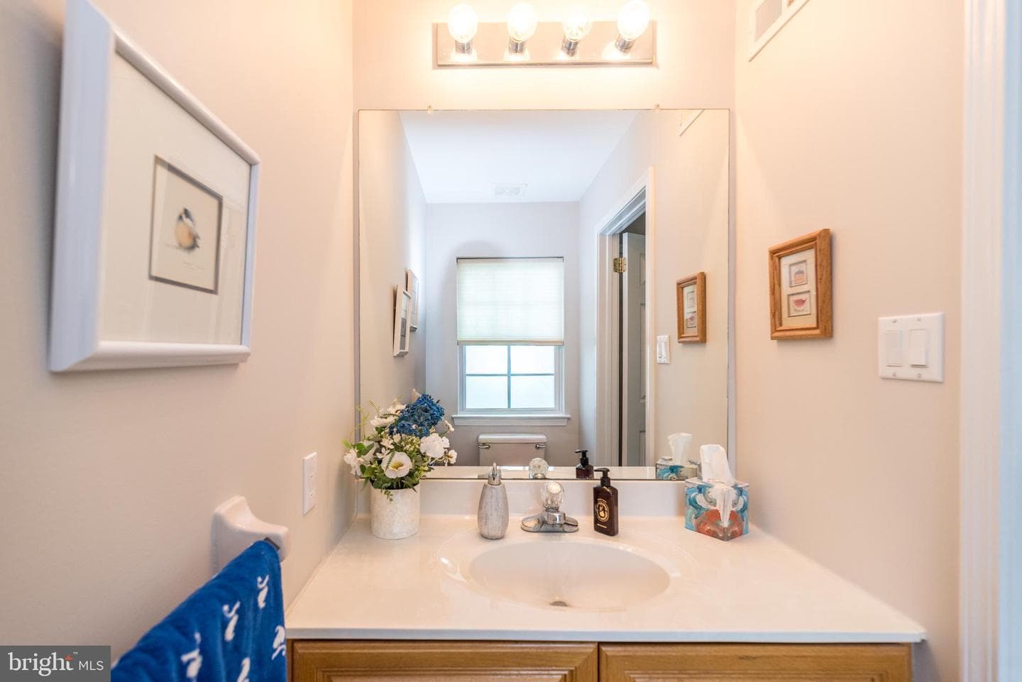 904 Filly Circle photo 25